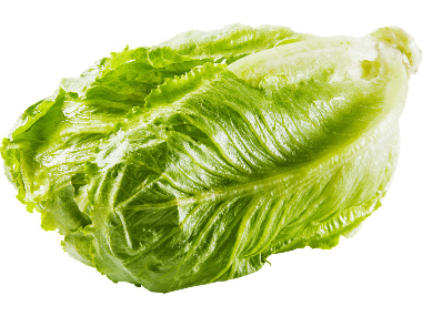 Romansallad