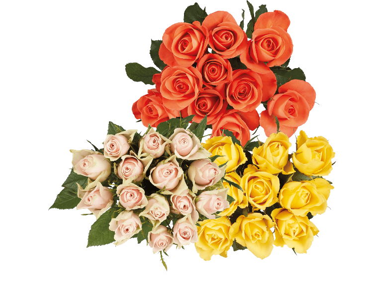 Tre buketter med färska rosor i orange, ljusrosa och gult på en svart bakgrund.