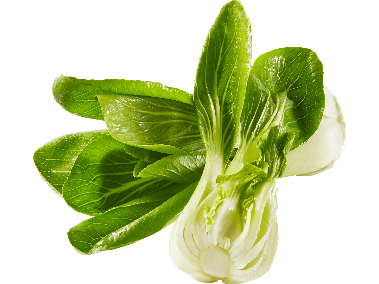 Färsk schweizisk pak choi på svart bakgrund.