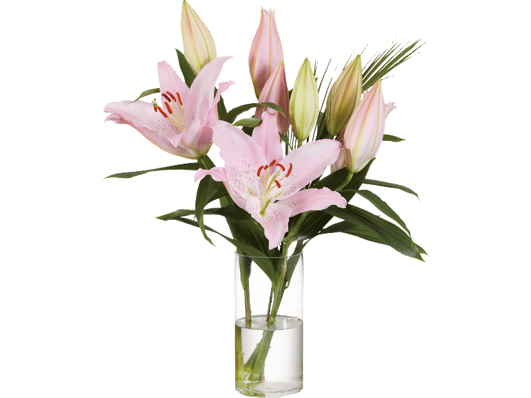 Rosa liljor i en klar glasvas med vatten, mot en vit bakgrund.