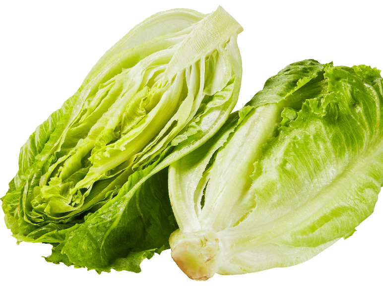 Två halvor av färsk romansallad på en svart bakgrund.