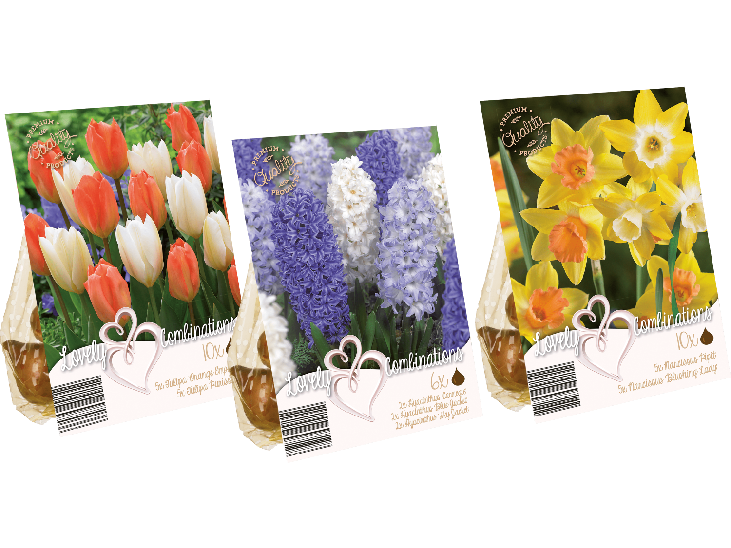 Blomsterlökar mix