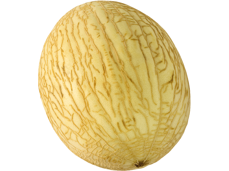 En hel gul melon med nätmönstrat skal på svart bakgrund.