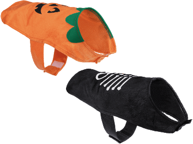 Halloweendräkt för hund