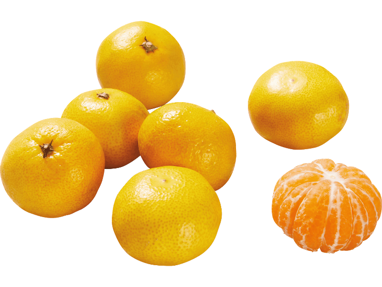 Flera hela mandariner och en skalad mandarin på vit bakgrund