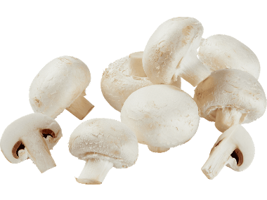 Champinjoner