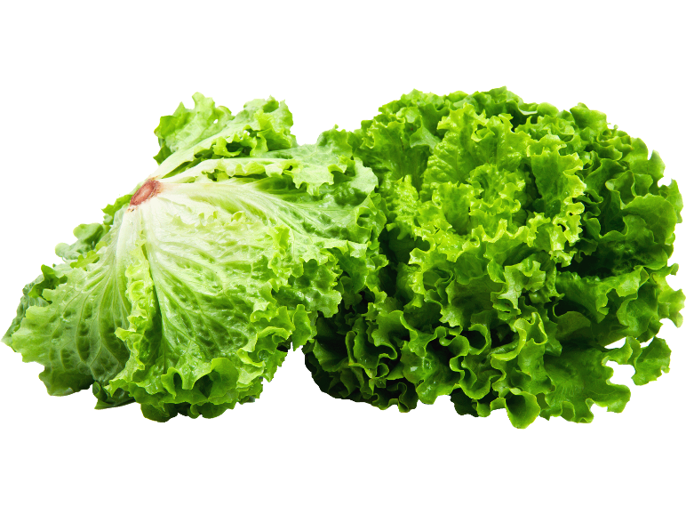 Färsk grön sallad på svart bakgrund