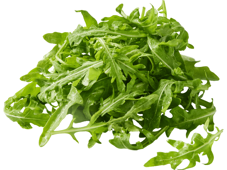 Färsk, grön ruccola med vattendroppar på svart bakgrund