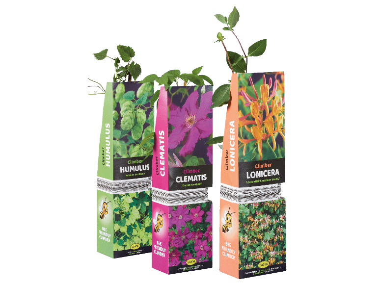 Tre klätterväxter i förpackning, med 'bi-vänliga' etiketter.
