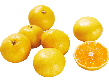Satsumas