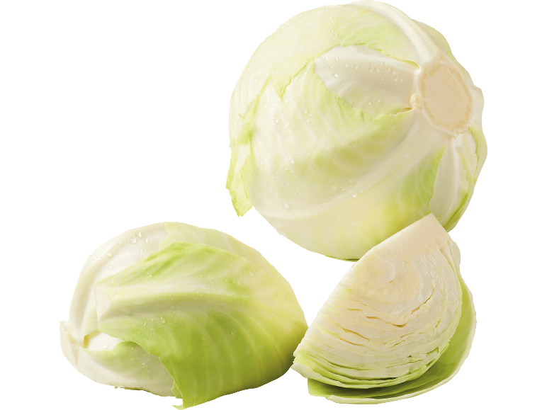 Vitkål
