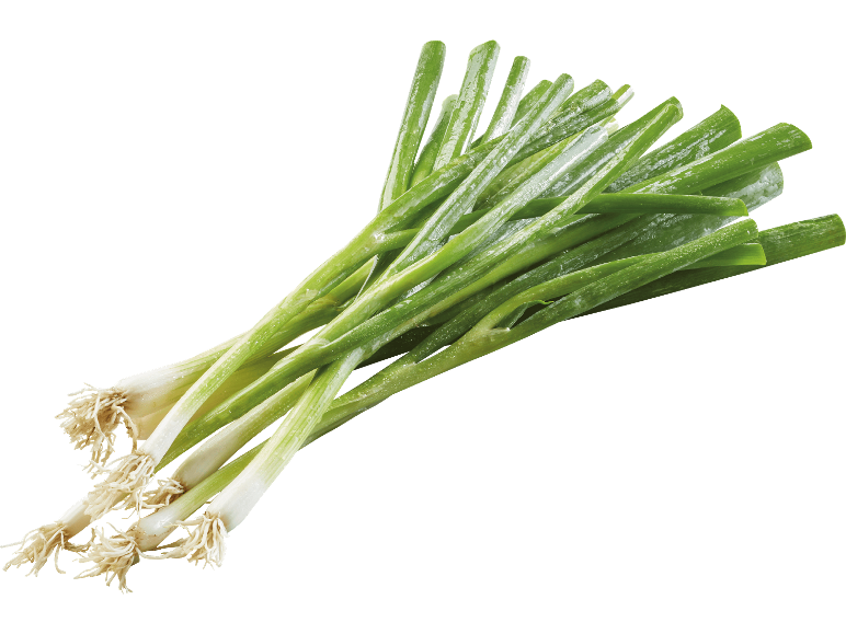 Salladslök