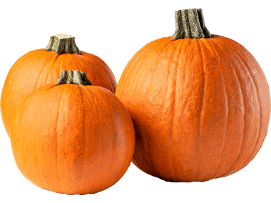 Halloweenpumpa