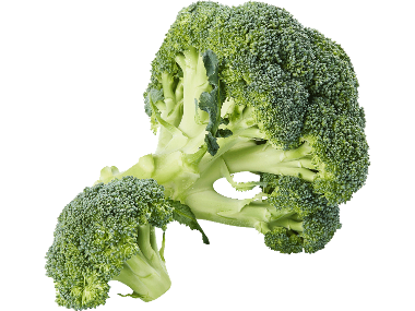 Broccoli