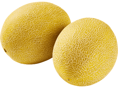 Galiamelon