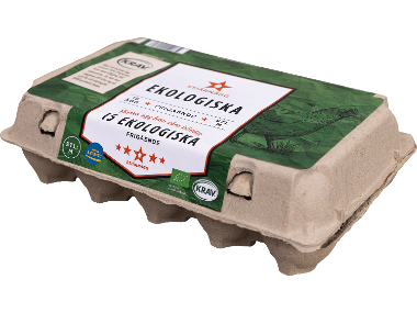 Ekologiska ägg 15-pack
