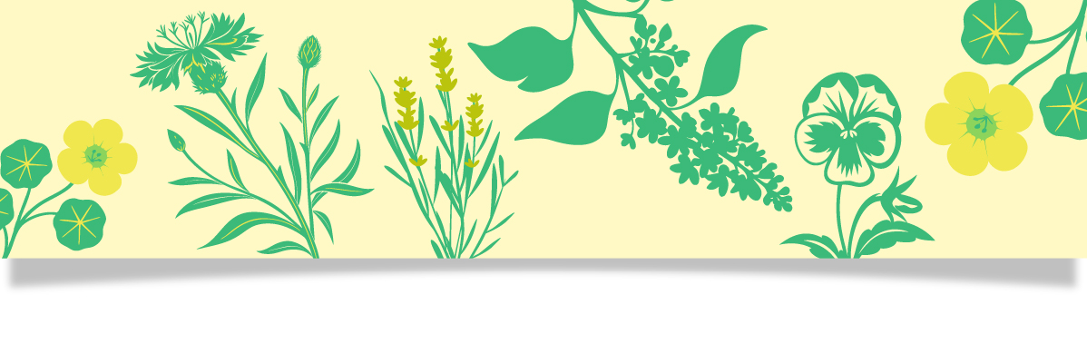 En illustration av olika blommor och växter i grönt och gult på en ljusgul bakgrund.