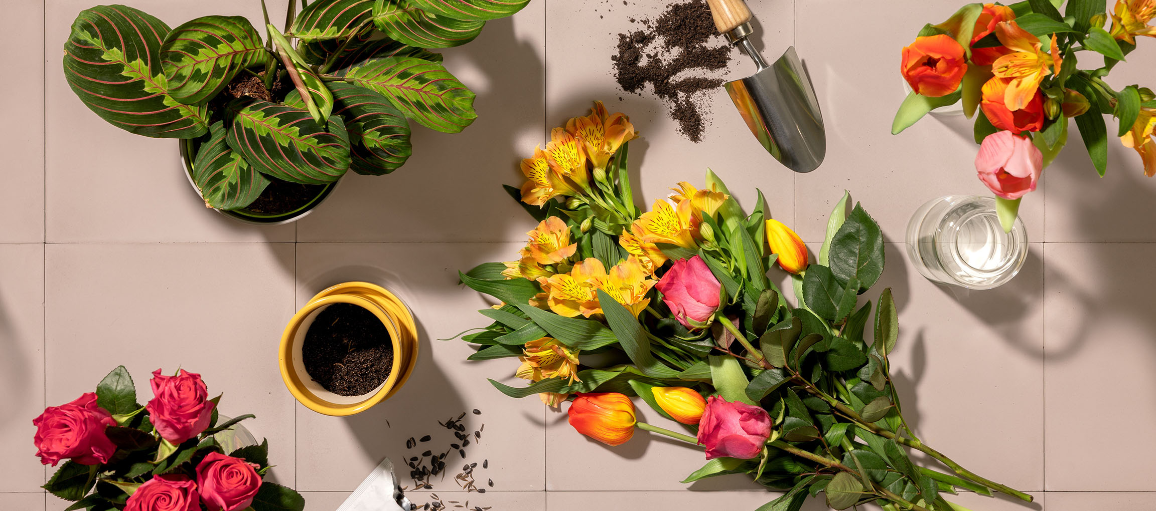 Färska blommor, krukväxt och trädgårdsredskap på ljus bakgrund.