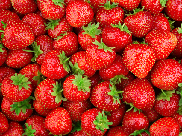 Guide för jordgubbsplantering