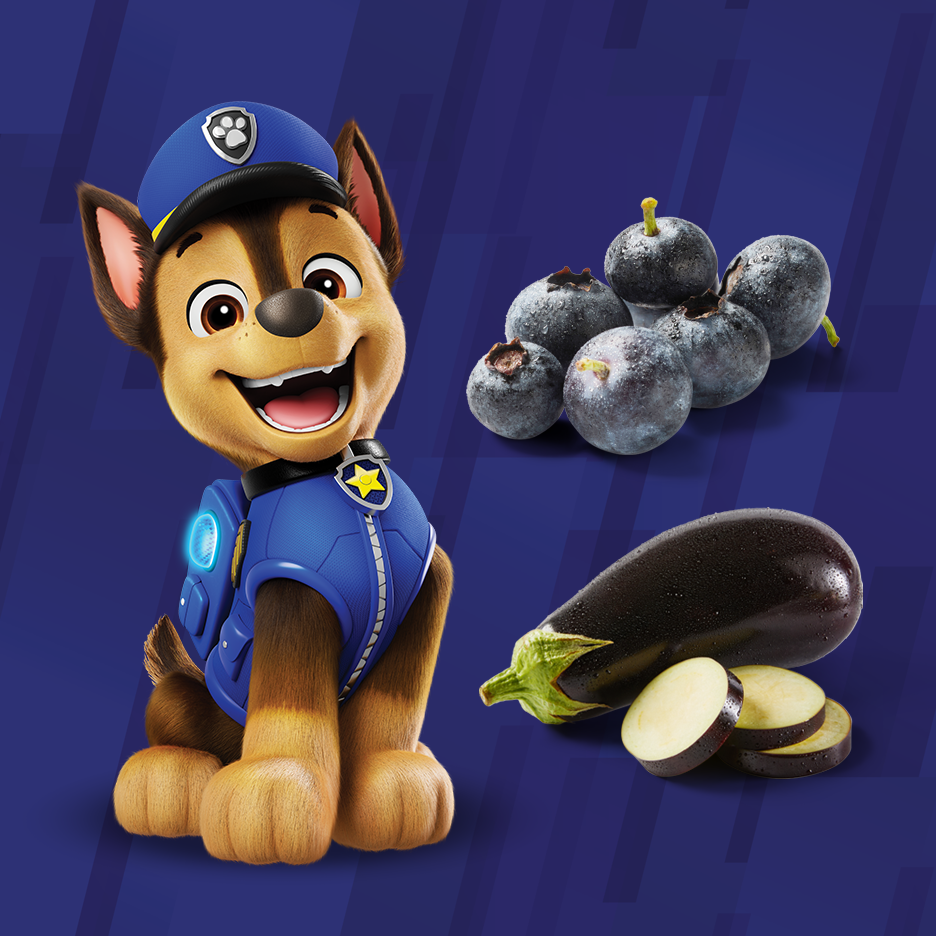 Tecknad hund i polisuniform, blåbär och aubergine på blå bakgrund.