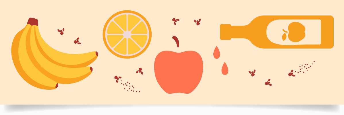 Bananer, apelsin, äpple och äppelcidervinäger.