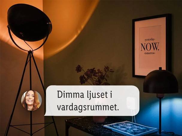 Enkel röststyrning med Google och Siri