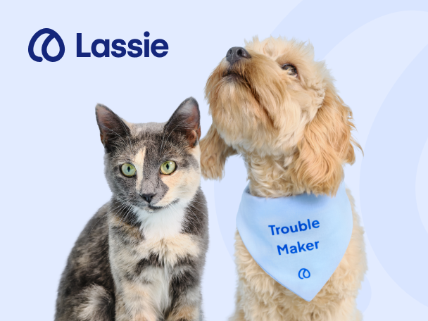 En katt och en hund med en blå bandana som säger 'Trouble Maker' och Lassie-logotypen.