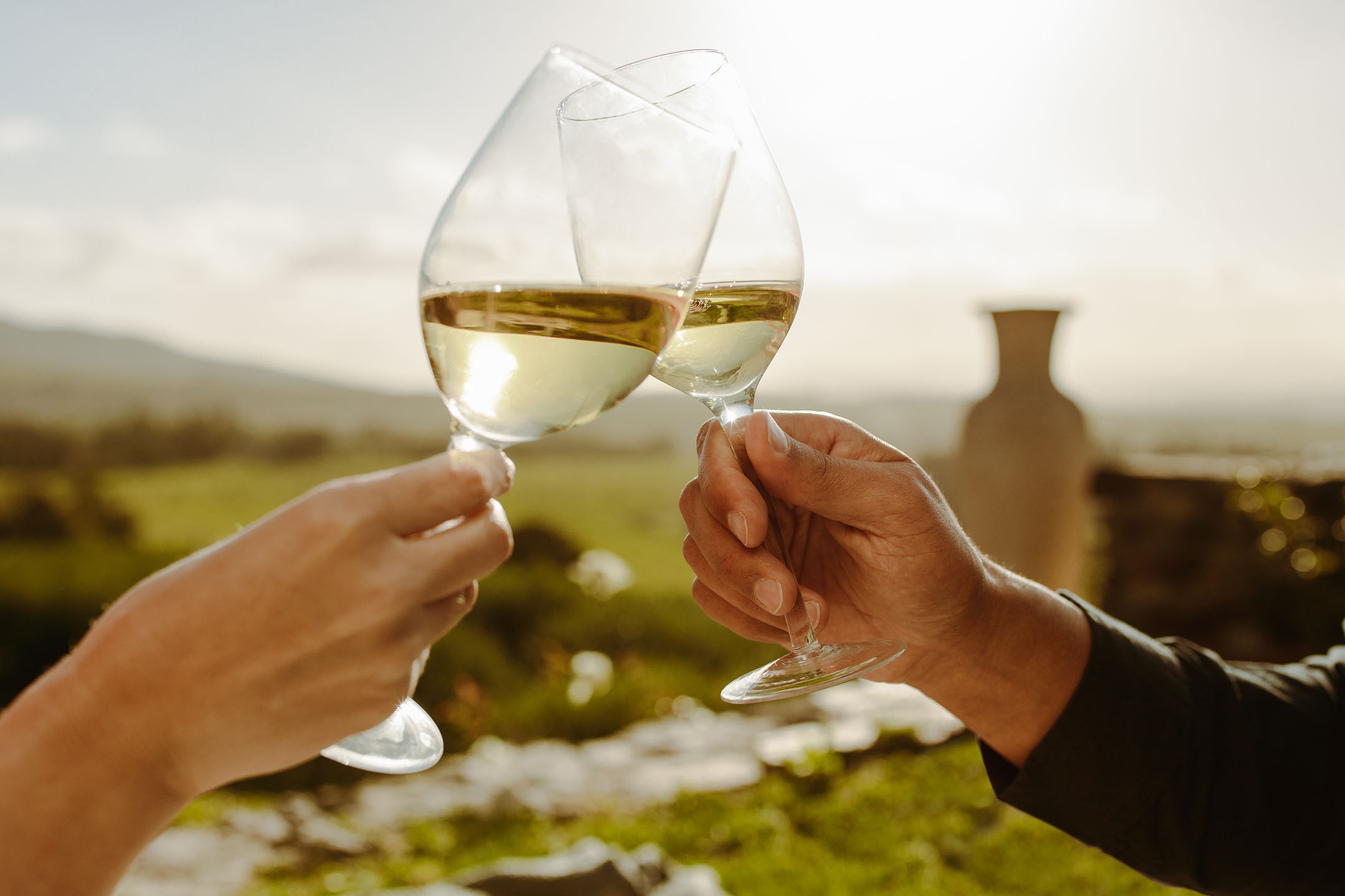 Två händer skålar med glas vitt vin i en solig, lantlig miljö.