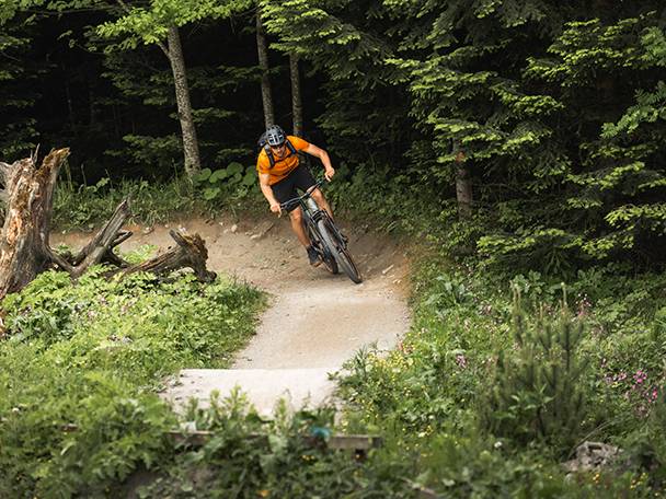 Mountainbikeåkare på en skogsstig.