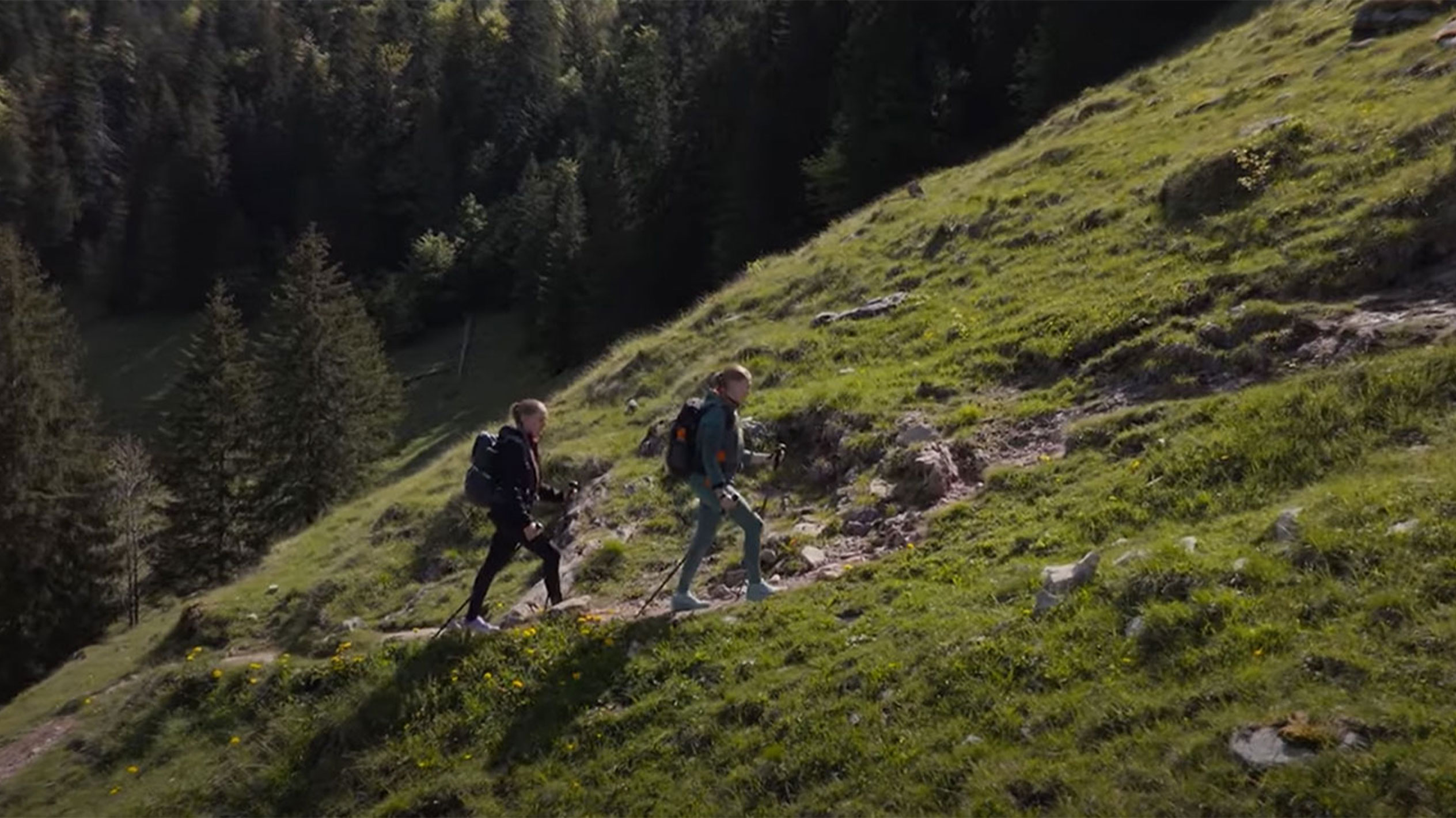 Två vandrare med ryggsäckar går uppför en bergsstig.