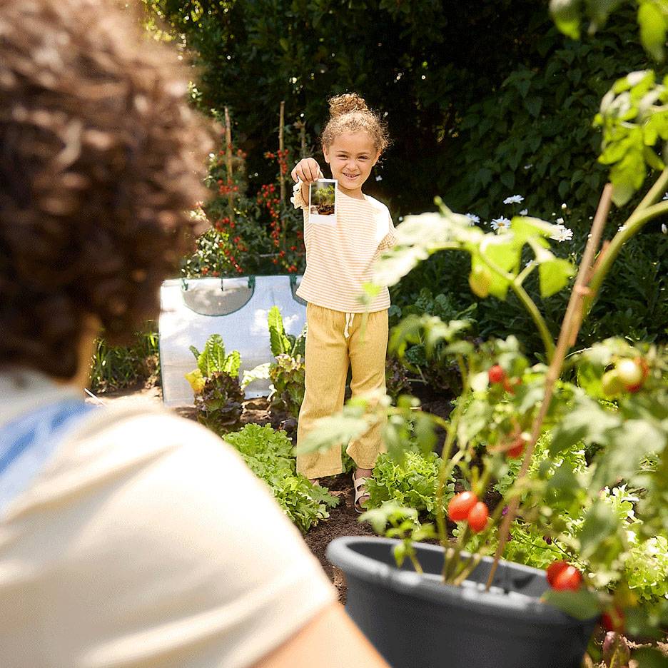 Barn i en trädgård håller ett foto, med färska produkter och en tomatplanta i förgrunden.