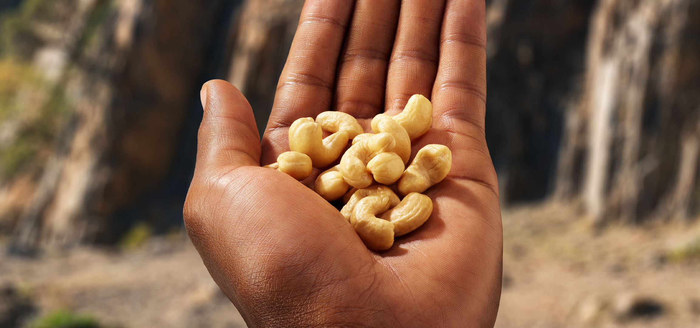 En handfull cashewnötter i en hand mot en suddig bakgrund.
