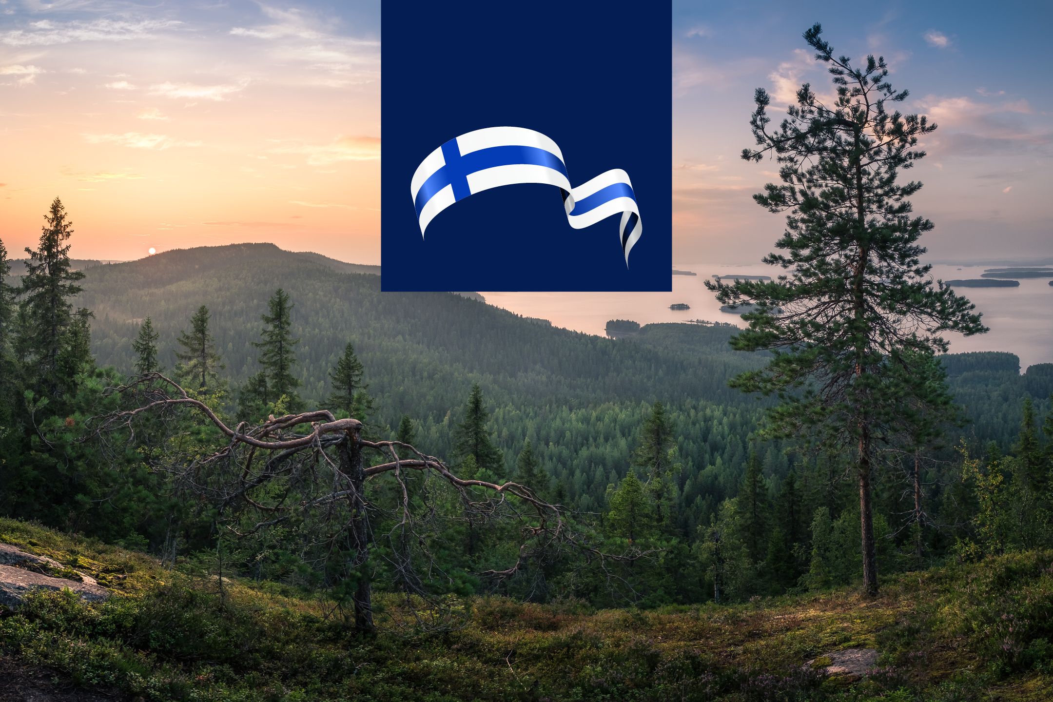 Finsk flagga över ett skogslandskap med sjöar och solnedgång.