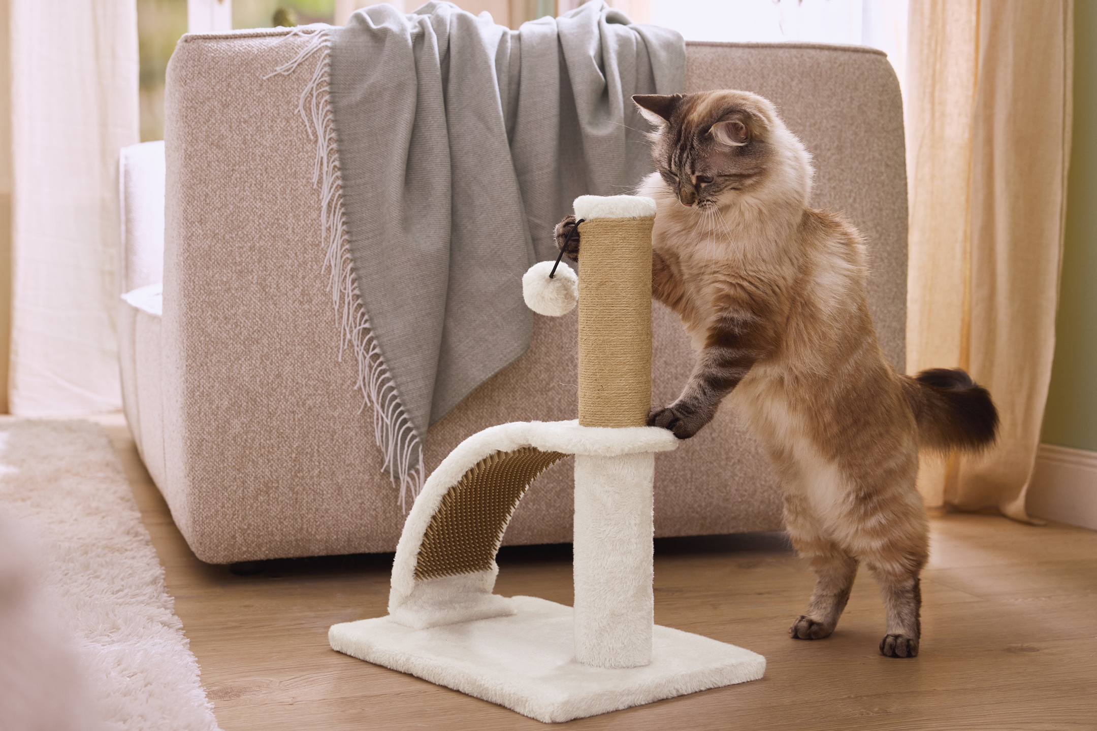 Katt som leker med en klöspelare i ett vardagsrum.