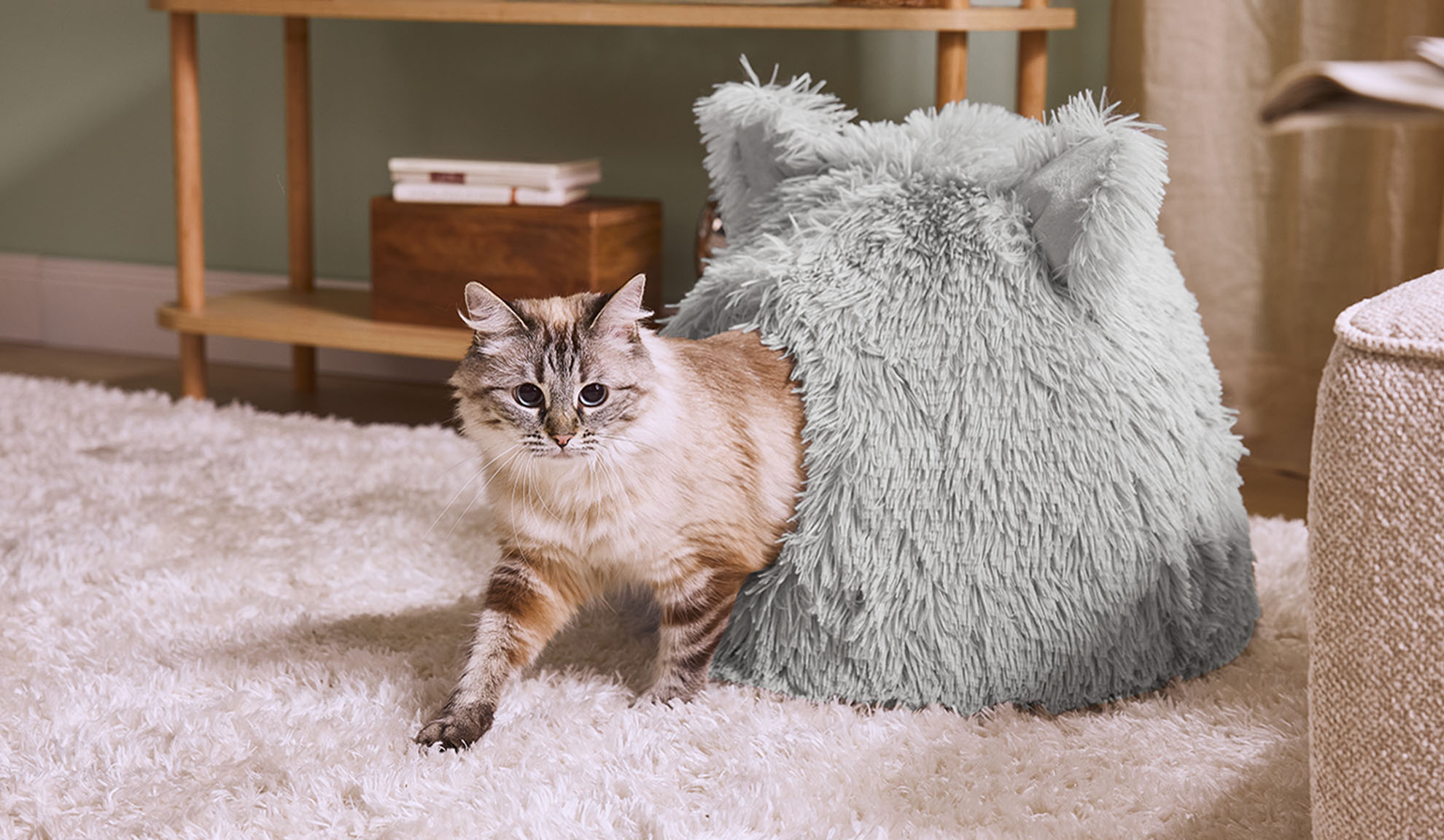 Katt som kommer ut ur en grå lurvig säng på en vit matta.