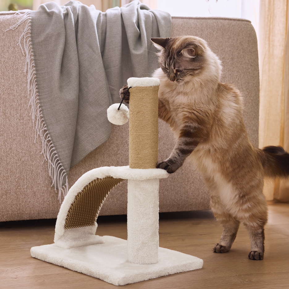 Katt leker med en beige klöspelare med en hängande leksak.