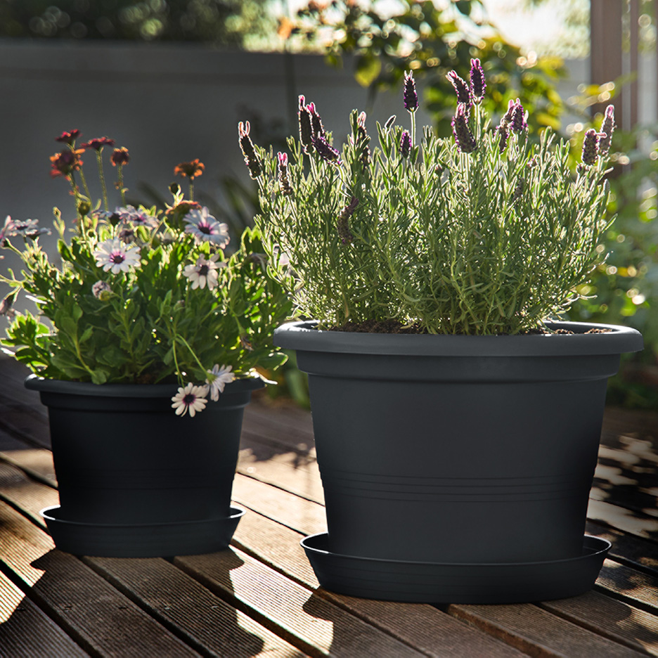 Två mörkgråa blomkrukor med fat, fyllda med blommor, står på ett trädäck i solljus.