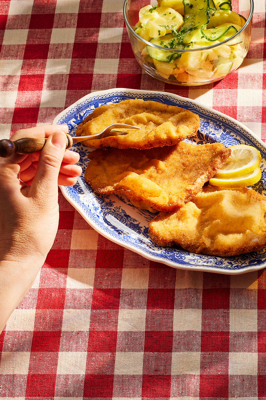 Panerad schnitzel med citron och potatissallad på en rödvitrutig duk.