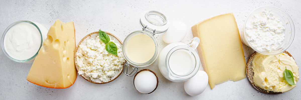 Yoghurt, ost, mjölk och ägg: färska mejeriprodukter.