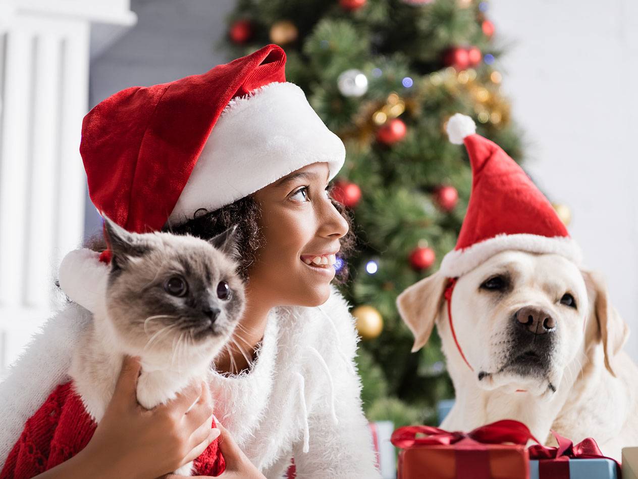 Flicka i tomteluva håller en katt, en hund i tomteluva bredvid en julgran.