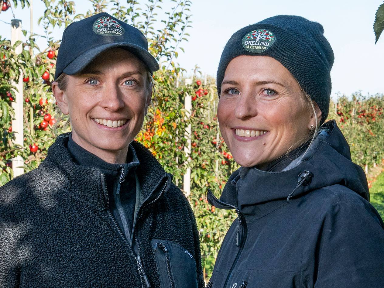 Två kvinnor i en äppelodling, en med keps och en med mössa med texten 'ÖRELUND PÅ ÖSTERLEN'.