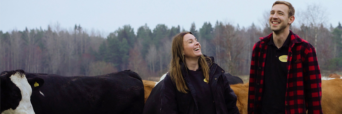 Glad bönder vid Holstein kor.